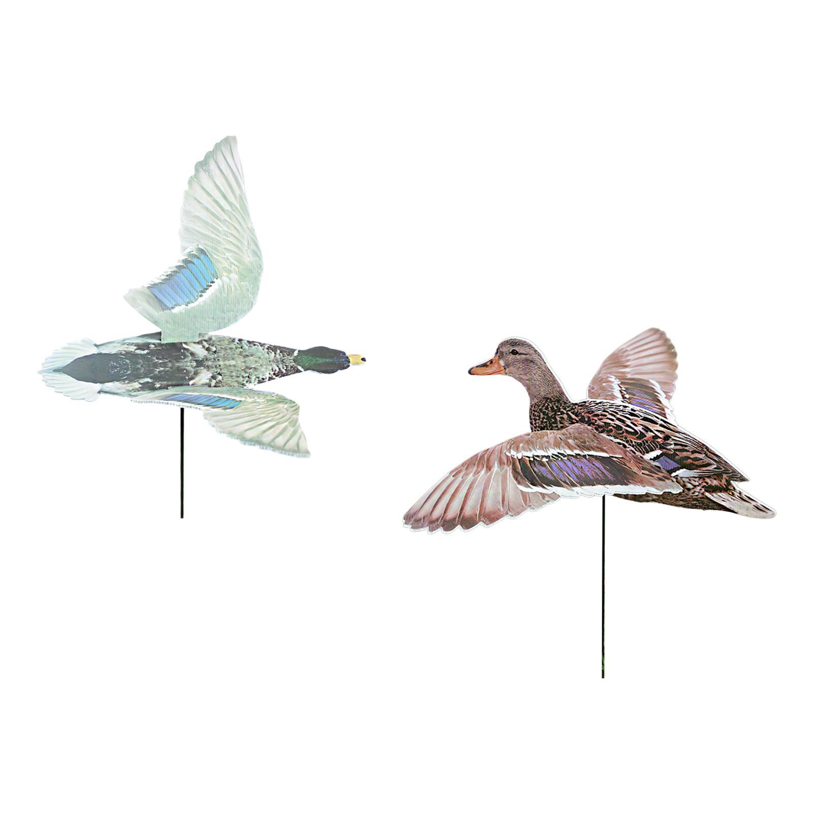 屋外狩猟用ダックデコイ 多機能 ヤード用 ポータブル装飾 本 - Hunting Outdoor Decor のレビューと価格